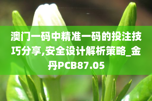 澳门一码中精准一码的投注技巧分享,安全设计解析策略_金丹PCB87.05