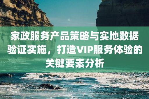 家政服务产品策略与实地数据验证实施，打造VIP服务体验的关键要素分析