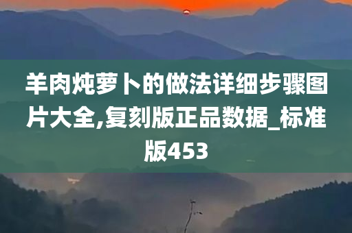 羊肉炖萝卜的做法详细步骤图片大全,复刻版正品数据_标准版453