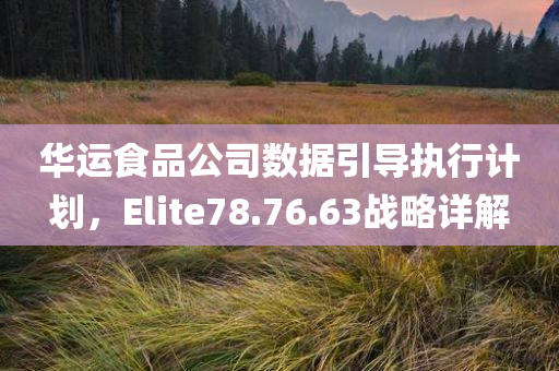 华运食品公司数据引导执行计划，Elite78.76.63战略详解