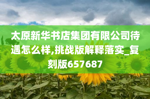 太原新华书店集团有限公司待遇怎么样,挑战版解释落实_复刻版657687