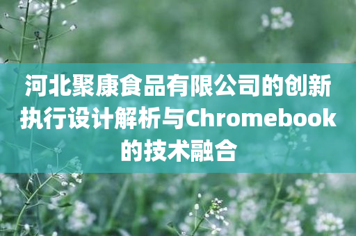 河北聚康食品有限公司的创新执行设计解析与Chromebook的技术融合