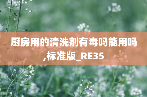 厨房用的清洗剂有毒吗能用吗,标准版_RE35