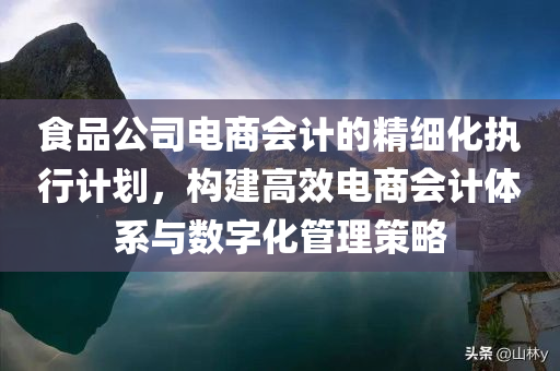 食品公司电商会计的精细化执行计划，构建高效电商会计体系与数字化管理策略