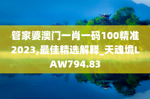 管家婆澳门一肖一码100精准2023,最佳精选解释_天魂境LAW794.83