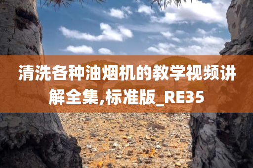 清洗各种油烟机的教学视频讲解全集,标准版_RE35