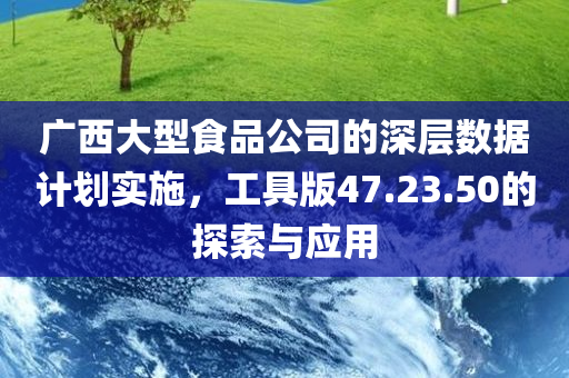 广西大型食品公司的深层数据计划实施，工具版47.23.50的探索与应用