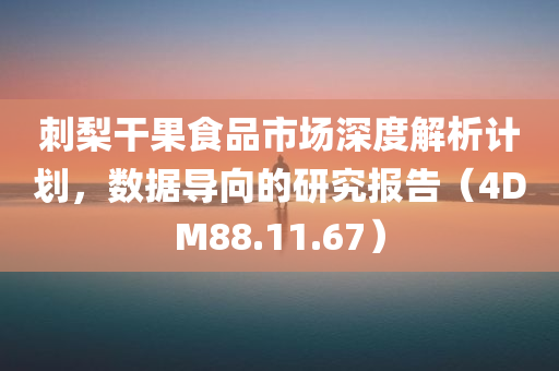 刺梨干果食品市场深度解析计划，数据导向的研究报告（4DM88.11.67）