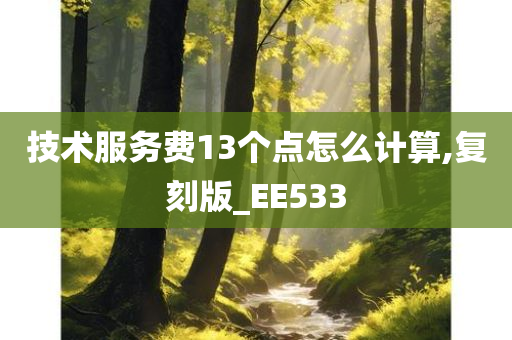 技术服务费13个点怎么计算,复刻版_EE533