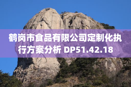 鹤岗市食品有限公司定制化执行方案分析 DP51.42.18