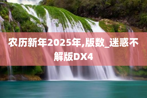 农历新年2025年,版数_迷惑不解版DX4