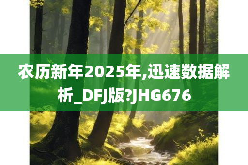 农历新年2025年,迅速数据解析_DFJ版?JHG676