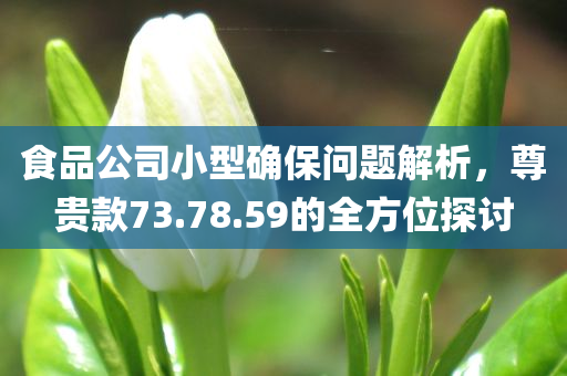 食品公司小型确保问题解析，尊贵款73.78.59的全方位探讨