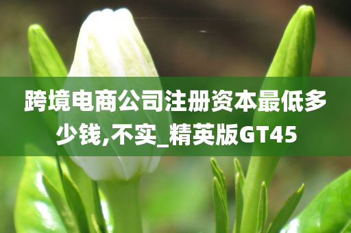 跨境电商公司注册资本最低多少钱,不实_精英版GT45