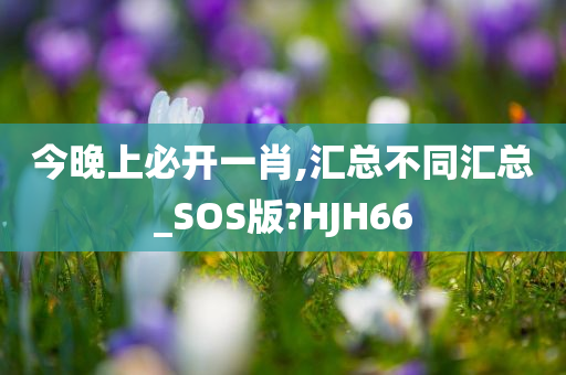 今晚上必开一肖,汇总不同汇总_SOS版?HJH66