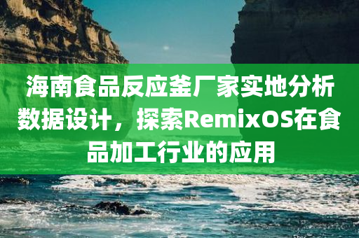 海南食品反应釜厂家实地分析数据设计，探索RemixOS在食品加工行业的应用