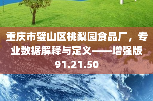 重庆市璧山区桃梨园食品厂，专业数据解释与定义——增强版91.21.50