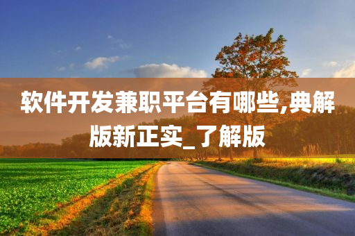 软件开发兼职平台有哪些,典解版新正实_了解版