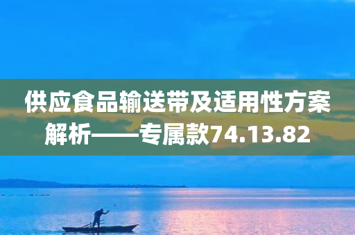 供应食品输送带及适用性方案解析——专属款74.13.82