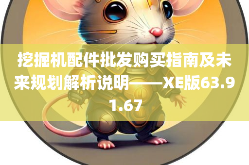 挖掘机配件批发购买指南及未来规划解析说明——XE版63.91.67