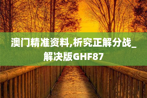 澳门精准资料,析究正解分战_解决版GHF87