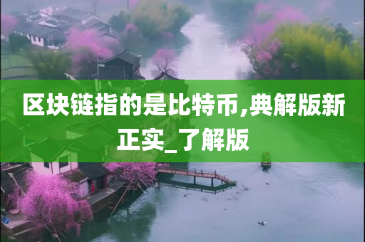 区块链指的是比特币,典解版新正实_了解版