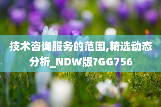 技术咨询服务的范围,精选动态分析_NDW版?GG756