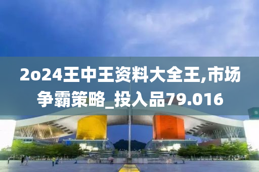 2o24王中王资料大全王,市场争霸策略_投入品79.016