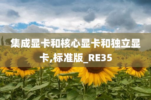 集成显卡和核心显卡和独立显卡,标准版_RE35