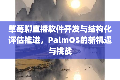 草莓聊直播软件开发与结构化评估推进，PalmOS的新机遇与挑战