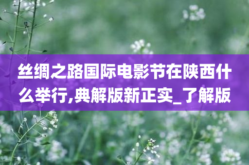 丝绸之路国际电影节在陕西什么举行,典解版新正实_了解版