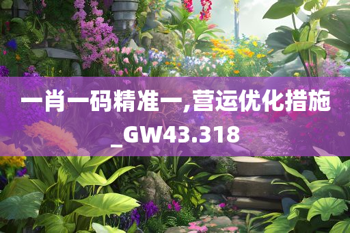 一肖一码精准一,营运优化措施_GW43.318