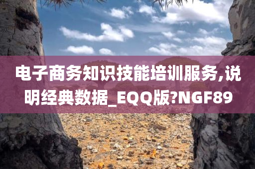 电子商务知识技能培训服务,说明经典数据_EQQ版?NGF89