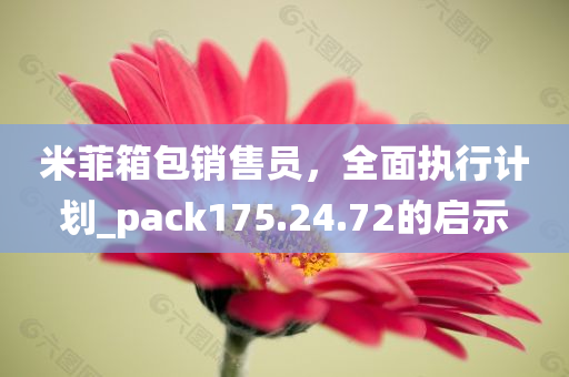 米菲箱包销售员，全面执行计划_pack175.24.72的启示