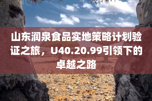 山东润泉食品实地策略计划验证之旅，U40.20.99引领下的卓越之路