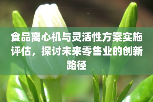 食品离心机与灵活性方案实施评估，探讨未来零售业的创新路径