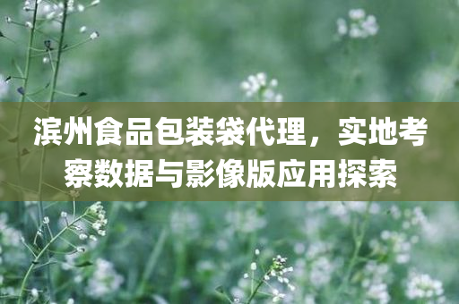 滨州食品包装袋代理，实地考察数据与影像版应用探索