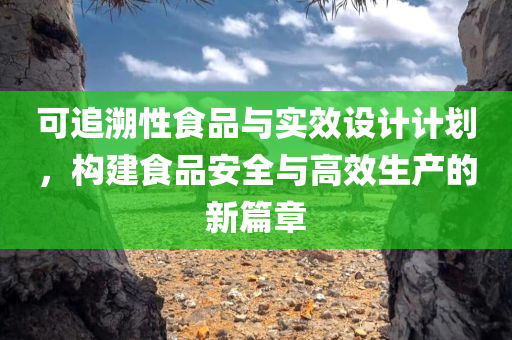 可追溯性食品与实效设计计划，构建食品安全与高效生产的新篇章