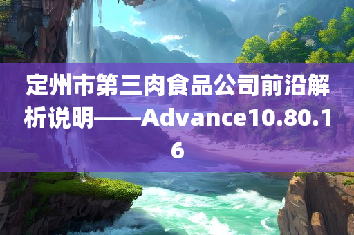 定州市第三肉食品公司前沿解析说明——Advance10.80.16