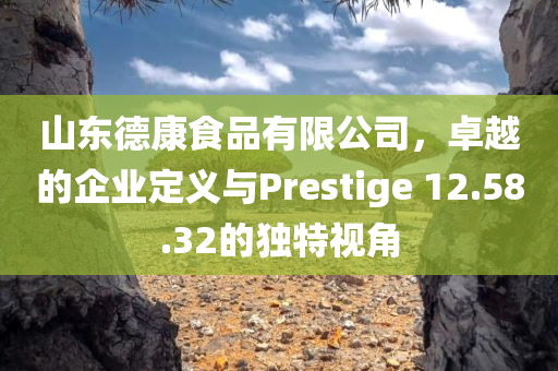 山东德康食品有限公司，卓越的企业定义与Prestige 12.58.32的独特视角