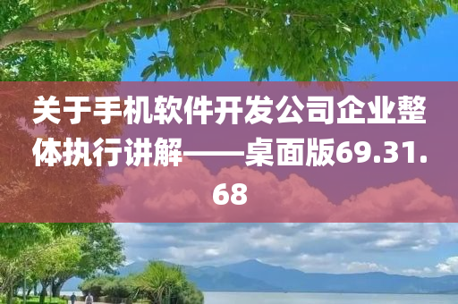 关于手机软件开发公司企业整体执行讲解——桌面版69.31.68