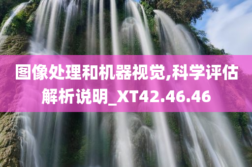 图像处理和机器视觉,科学评估解析说明_XT42.46.46