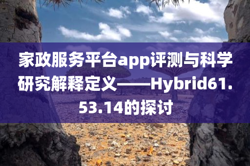 家政服务平台app评测与科学研究解释定义——Hybrid61.53.14的探讨