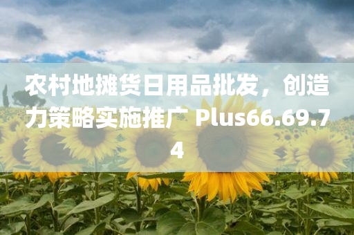 农村地摊货日用品批发，创造力策略实施推广 Plus66.69.74