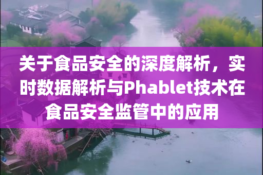 关于食品安全的深度解析，实时数据解析与Phablet技术在食品安全监管中的应用