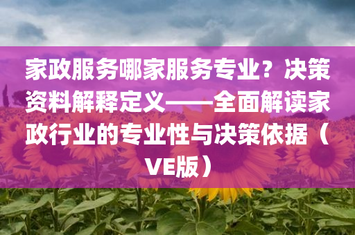 家政服务哪家服务专业？决策资料解释定义——全面解读家政行业的专业性与决策依据（VE版）