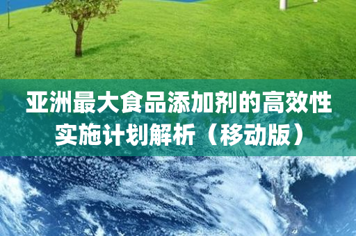 亚洲最大食品添加剂的高效性实施计划解析（移动版）