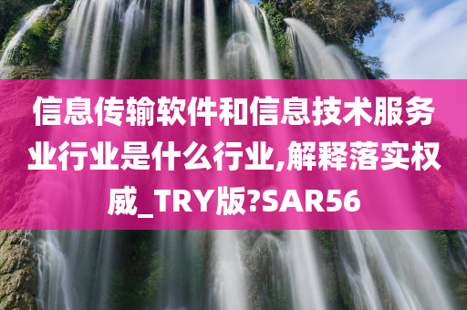 信息传输软件和信息技术服务业行业是什么行业,解释落实权威_TRY版?SAR56