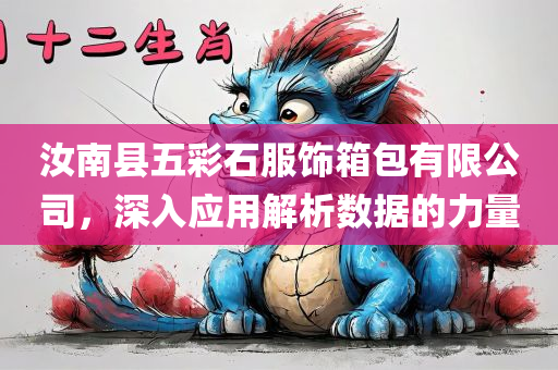 汝南县五彩石服饰箱包有限公司，深入应用解析数据的力量