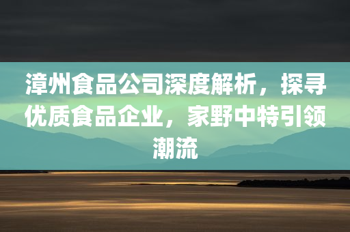 漳州食品公司深度解析，探寻优质食品企业，家野中特引领潮流